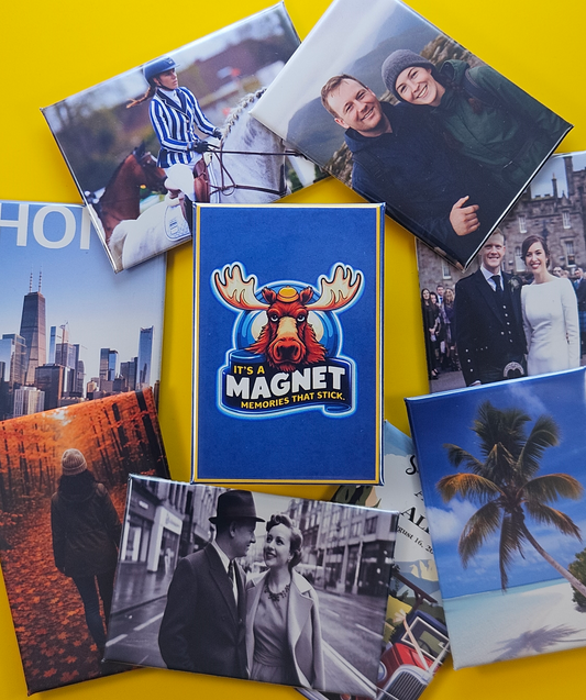 9 Picture Magnets (Best Value)